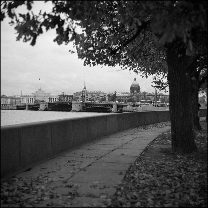 Дворцовый мост фото превью