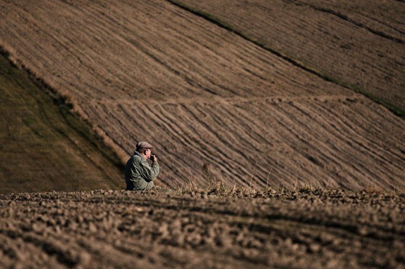 жизнь, жизнь ... фото превью