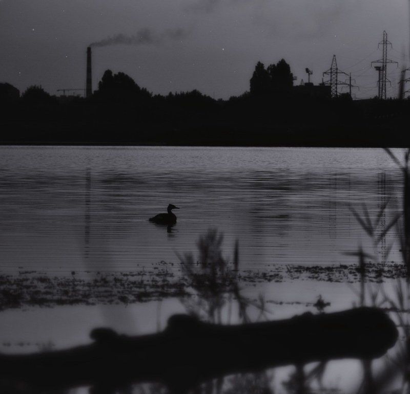 A quiet evening фото превью