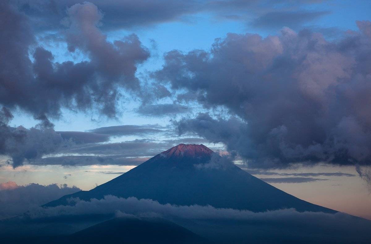 , Надежда Звягина / New Zealand
