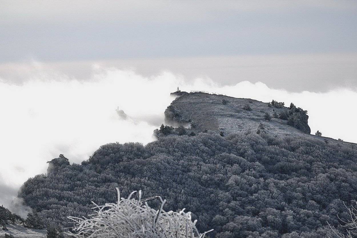 , максим куташев