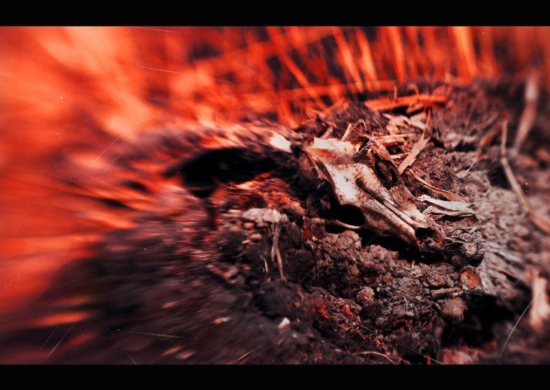 Когда наступает время фото превью