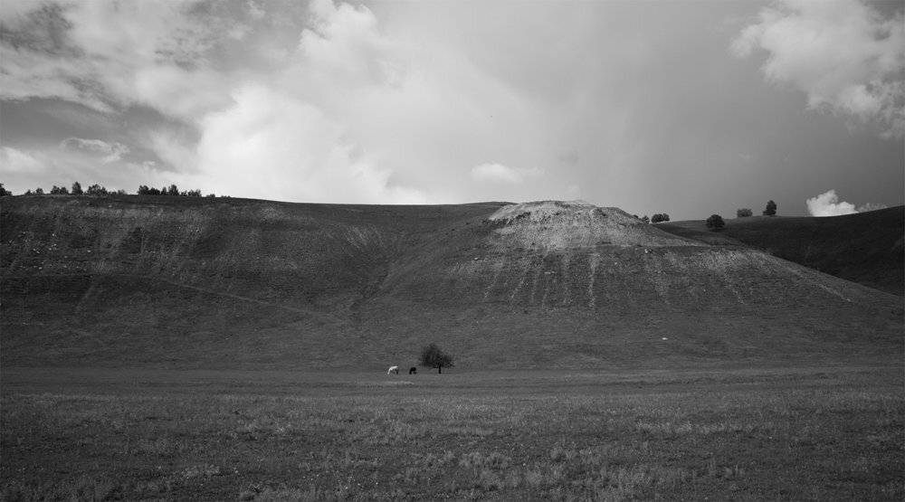 , Максим Филипов