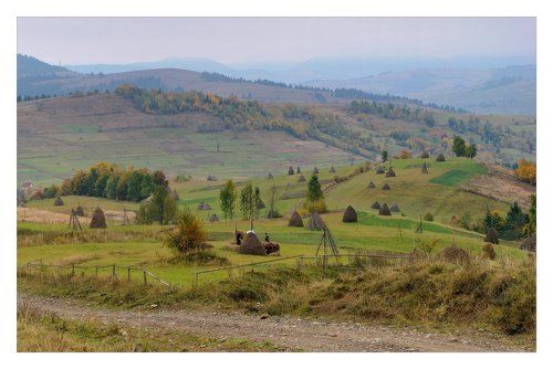 Карпатская пастораль