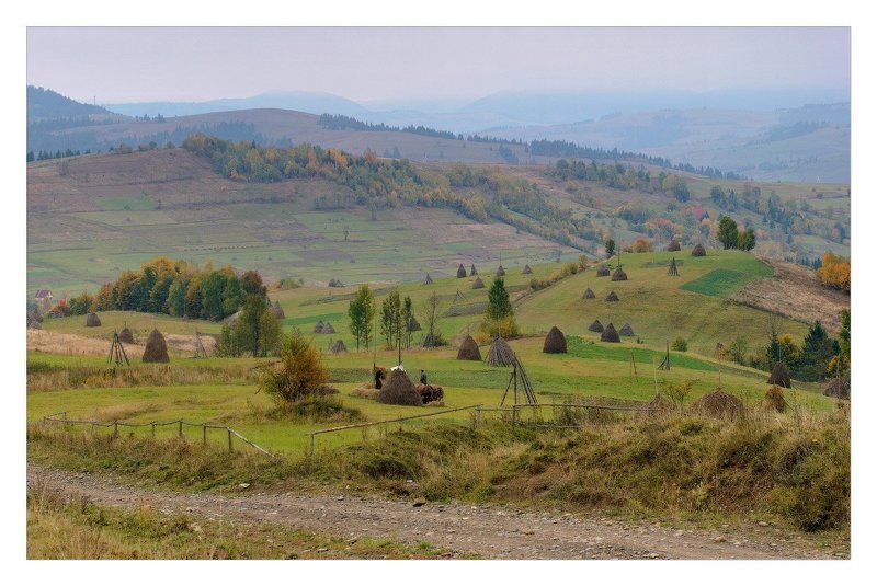 карпаты Карпатская пастораль фото превью