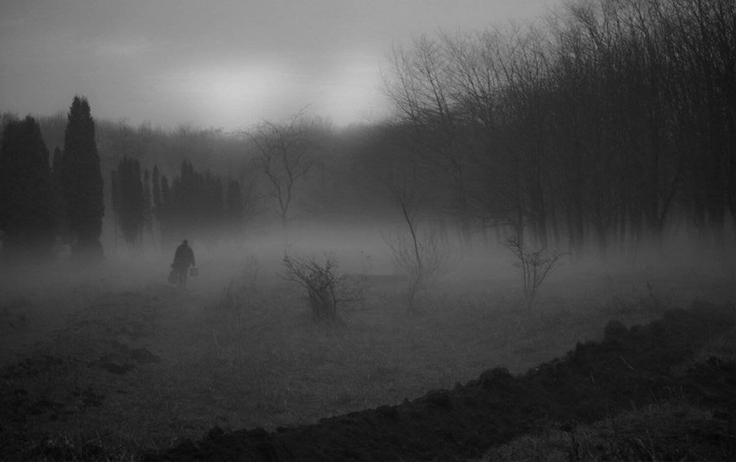 , Соломахин Сергей