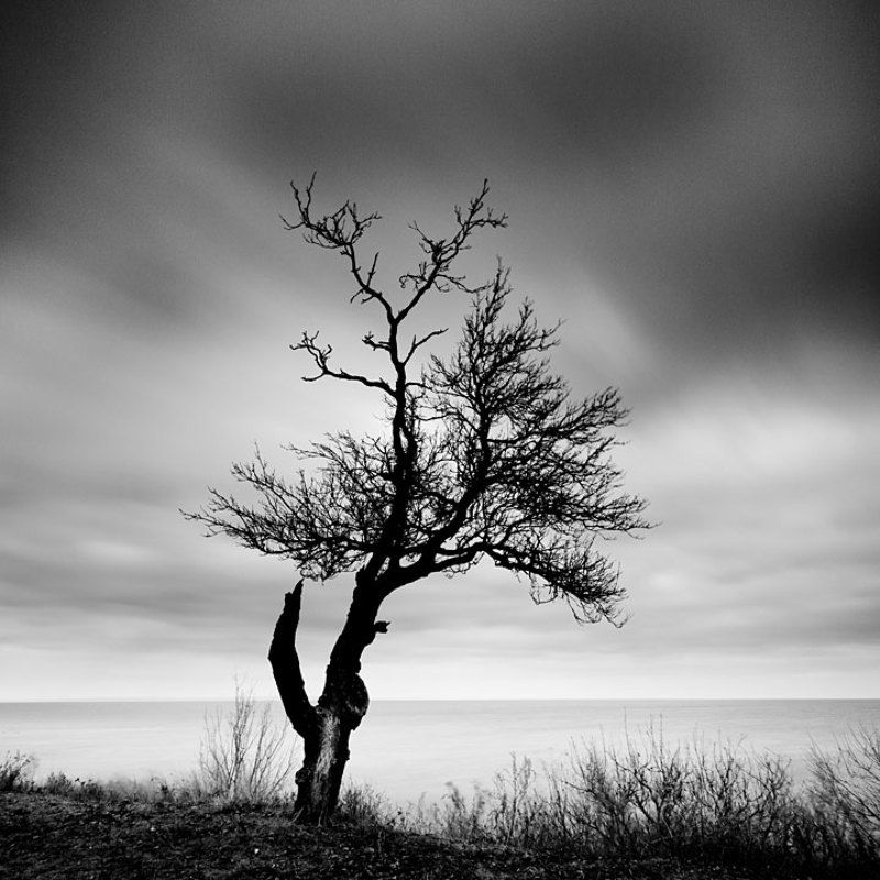 пейзаж, моно, чб * фото превью