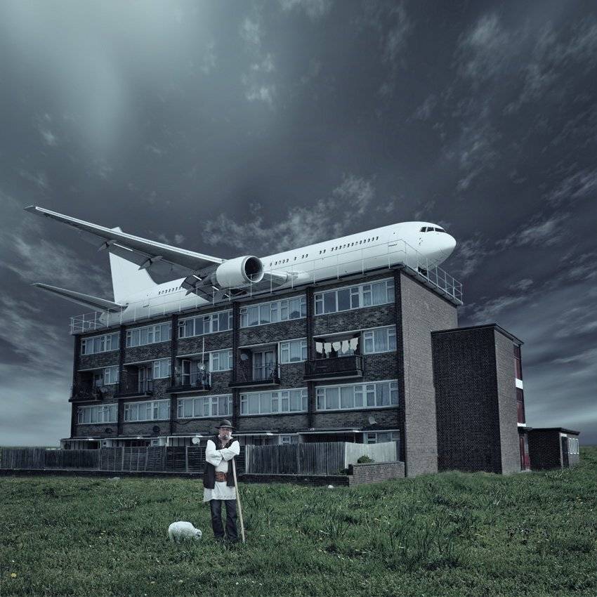 plane, building, high, sheep, grass, rich, shipper, fence, bricks, on top, Caras Ionut