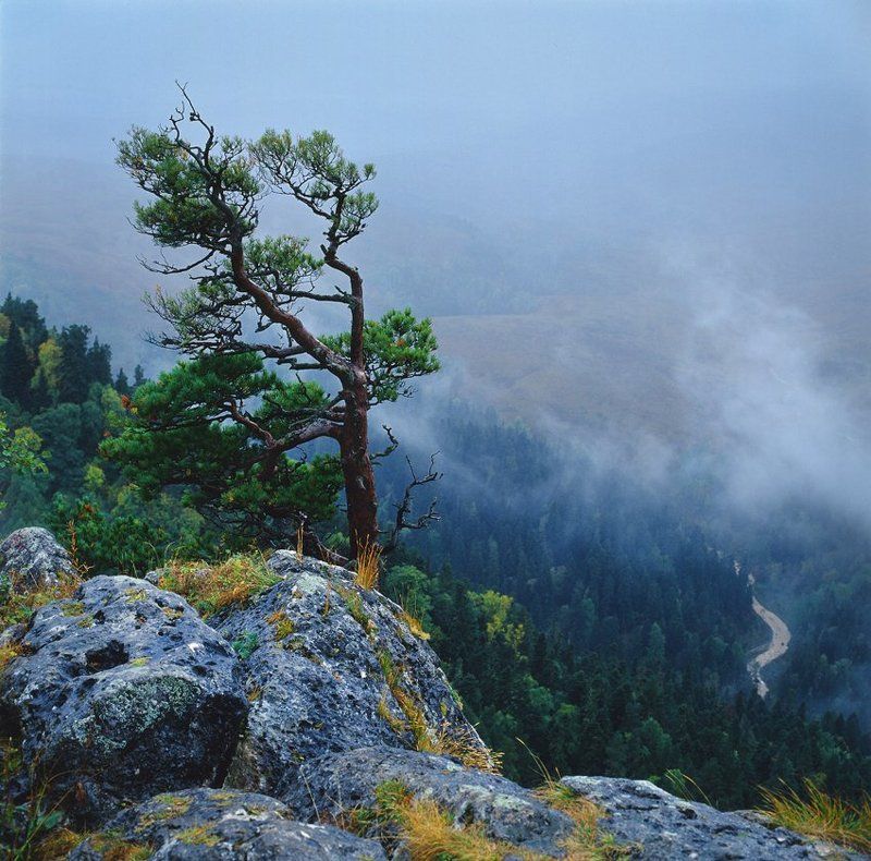 Лаго Наки фото превью