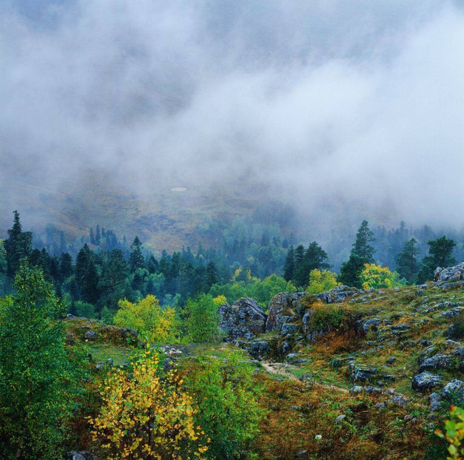 , Эдуард Перов