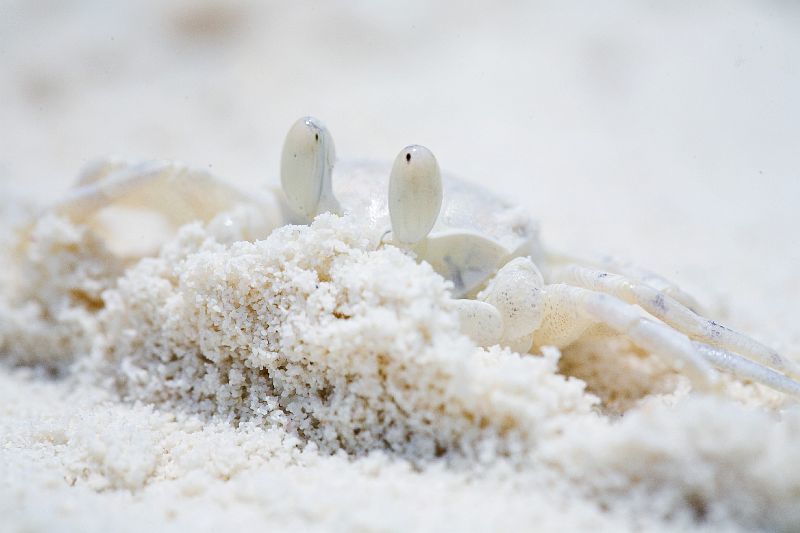 Сижу я в окопе фото превью