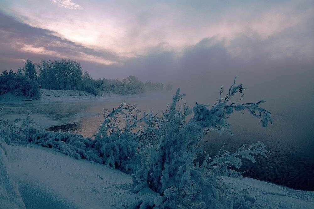, Николай Морский