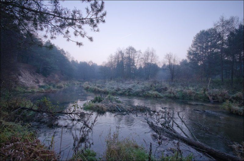 рассвет, река, октябрь, лес Холодный рассвет фото превью