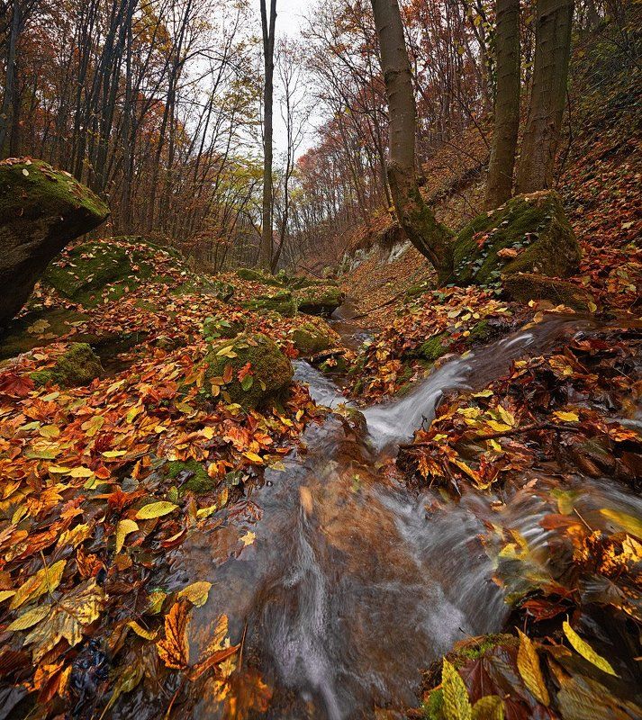 Ручейки фото превью