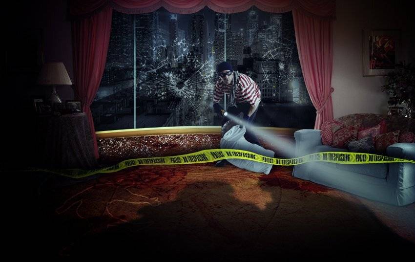 light, flash light, man, bag, steal, shadow, house, inside, curtain, couch,, Caras Ionut