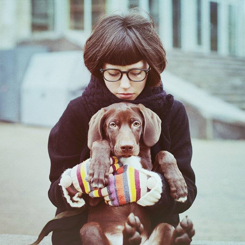 puppy, rainbow, Tertius Alio