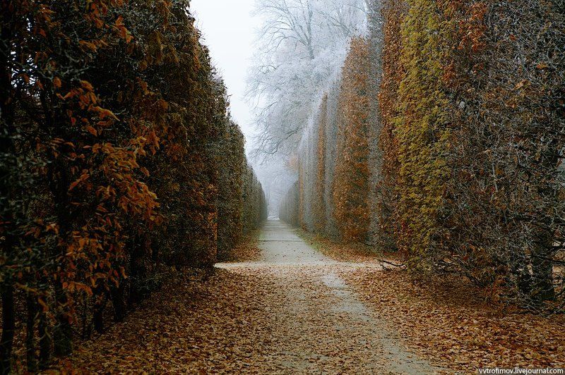 чехия, чешский крумлов В старом парке фото превью