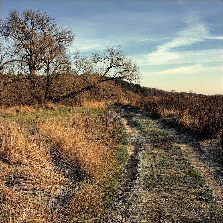 дорога, утро, заморозки, берег, Тарасов Алексей