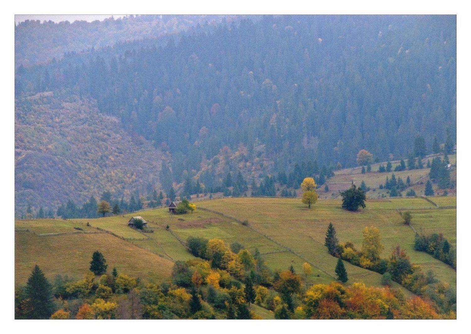 карпаты, осень, жизнь, Dmitry Pozharsky