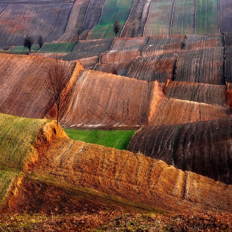 ... фото превью