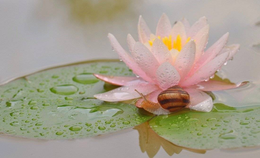 , Александр Юкарев