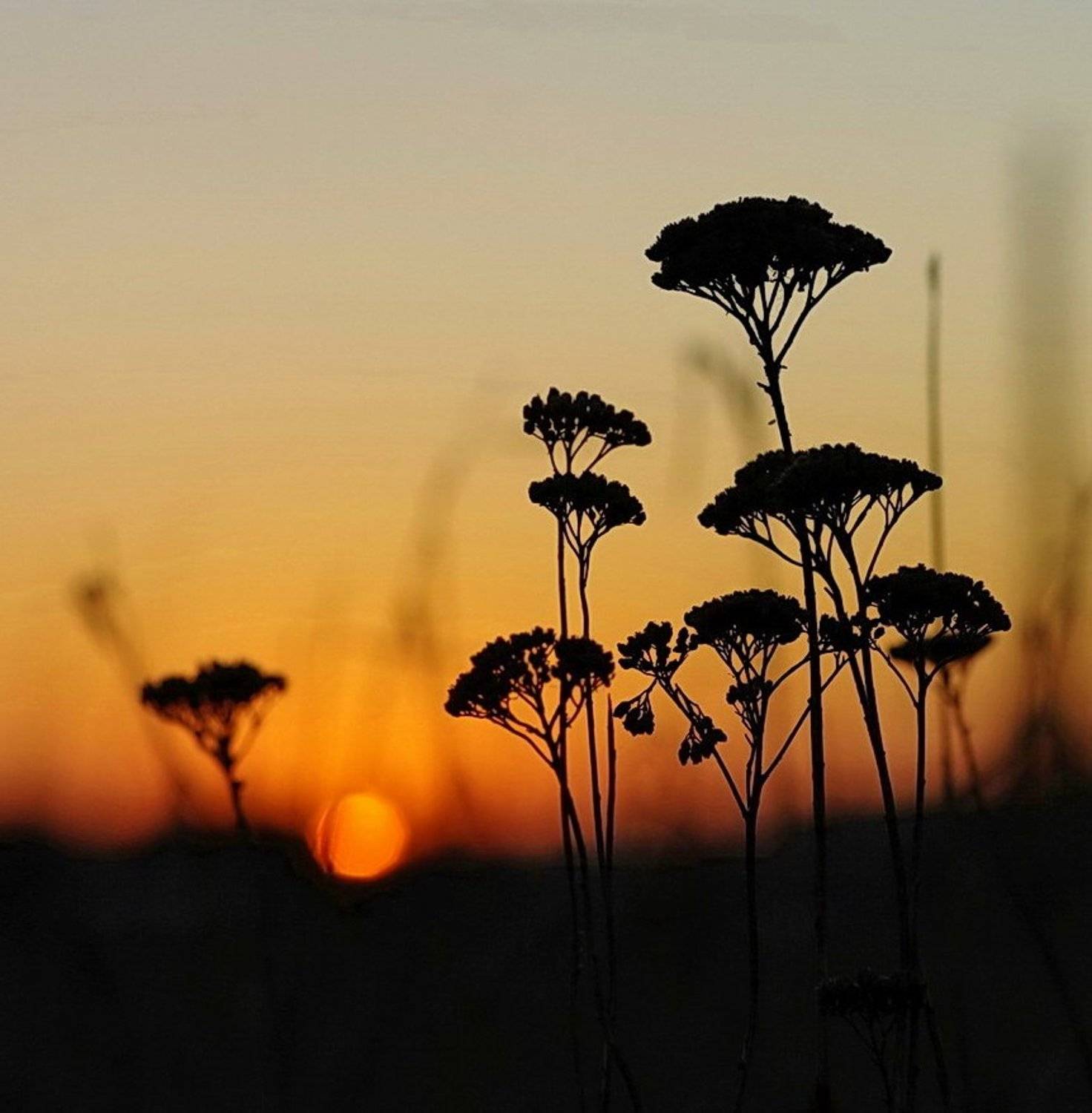 закат, солнце, небо, Арсен Алабердов