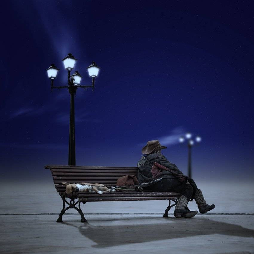 light, light pole, bench, alone, sleep, dog, man, old, sky, star, blue, night, shadow, clouds, soft, cold, Caras Ionut