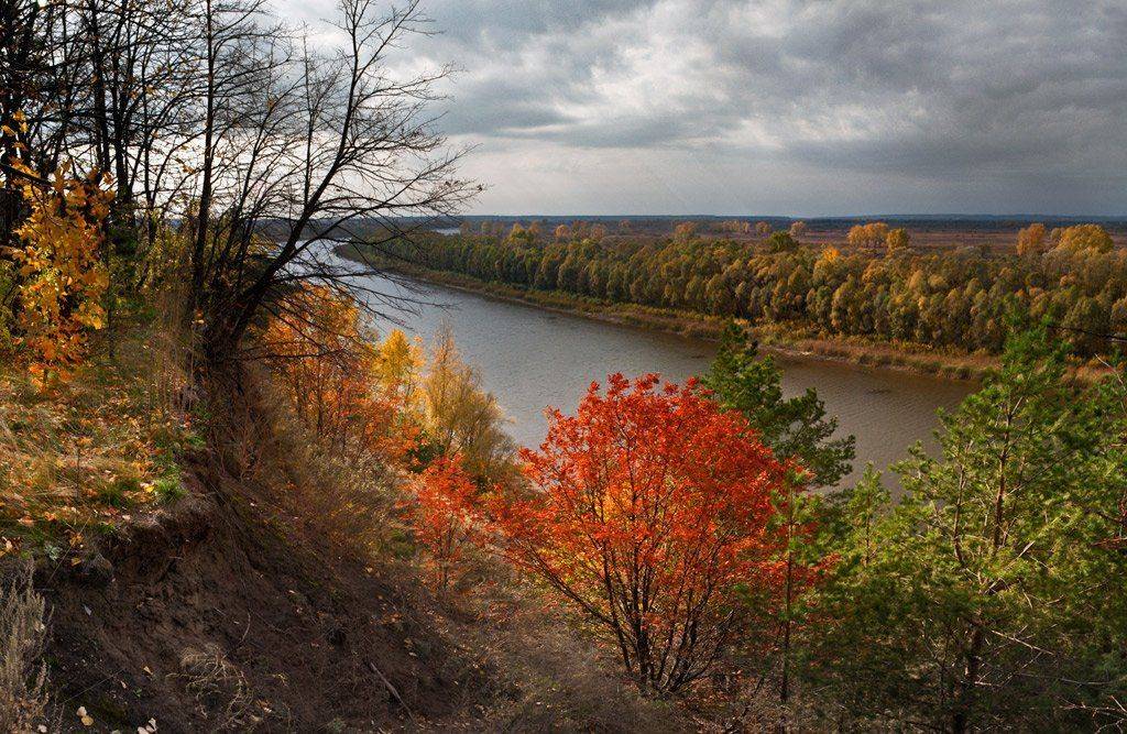 осень, Kuchkai_murza