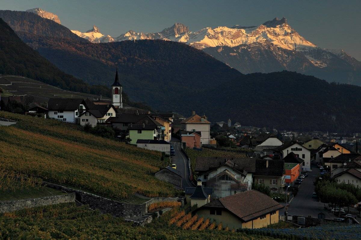 swiss, Матвеев Николай