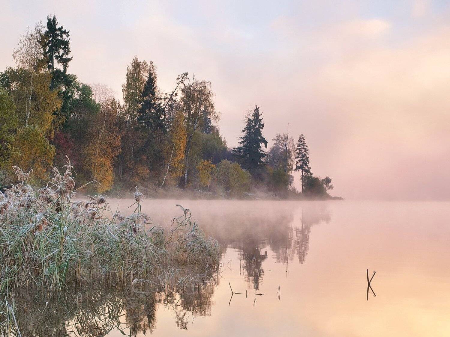 , Максим Евдокимов
