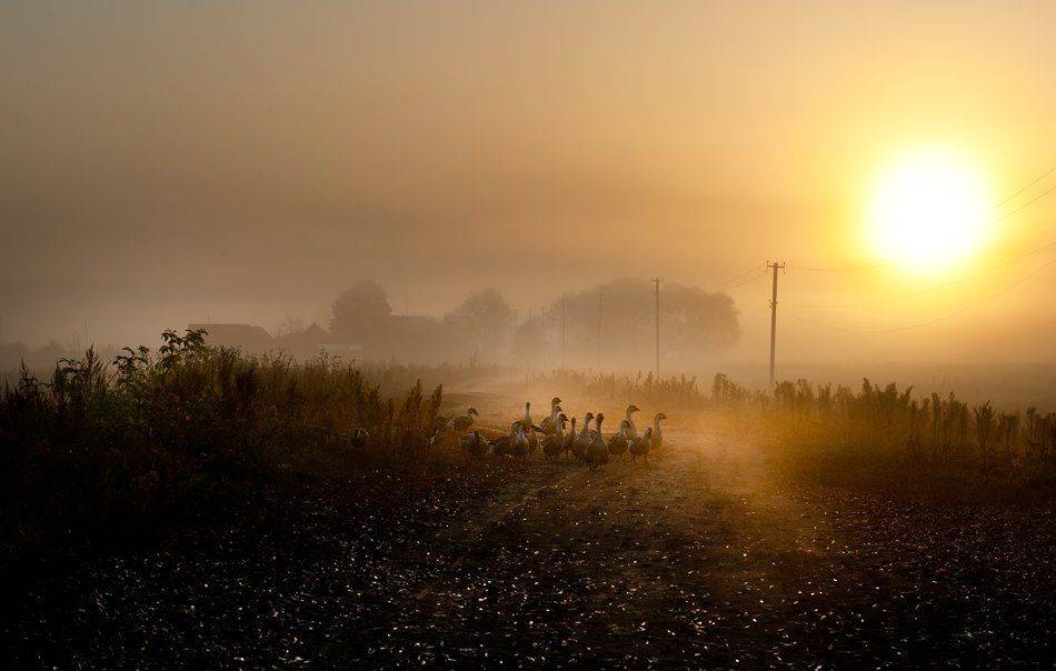 , Валерий Смирнов