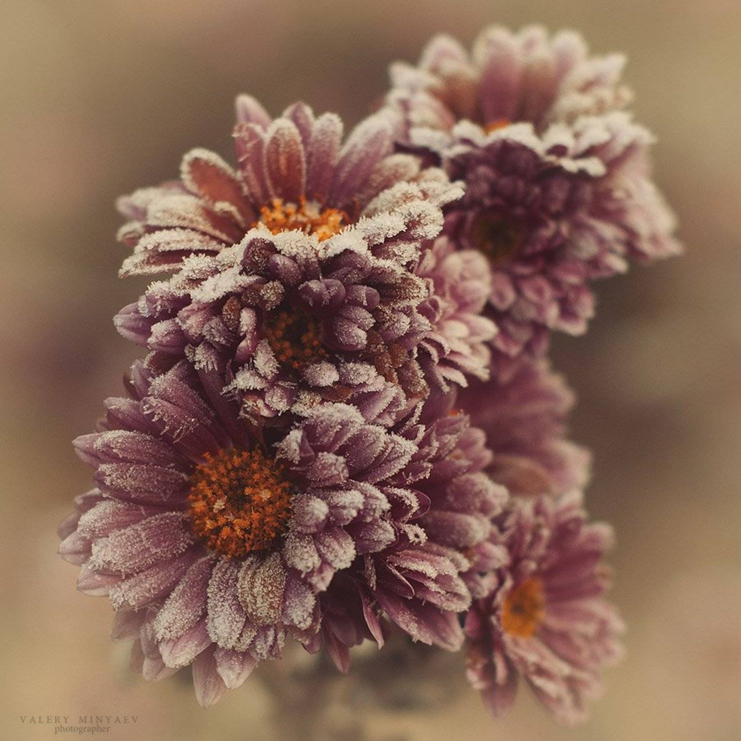 , Миняев Валерий