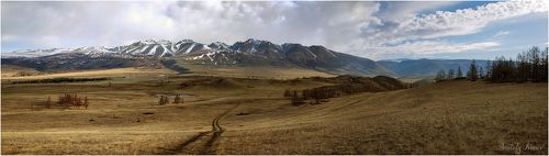 В Курайской степи