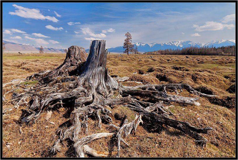 долина, актру, Качурин Алексей