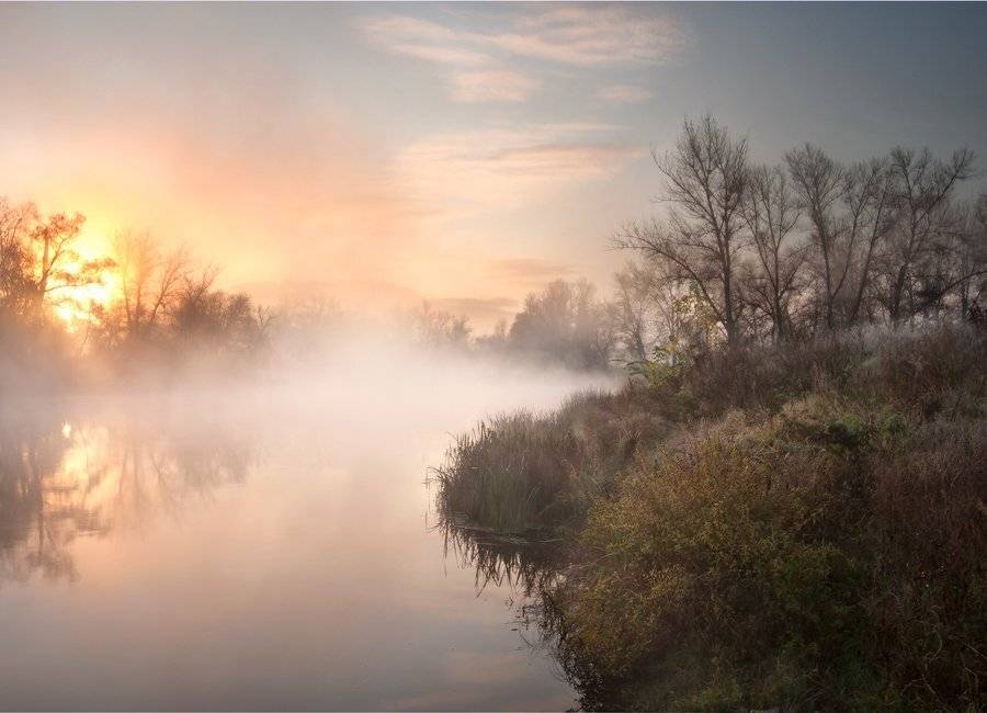 северский, донец, Дитковский Евгений