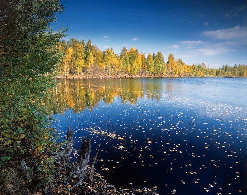 ** фото превью