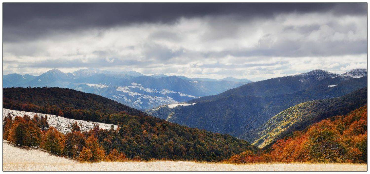 , Денис Кривой