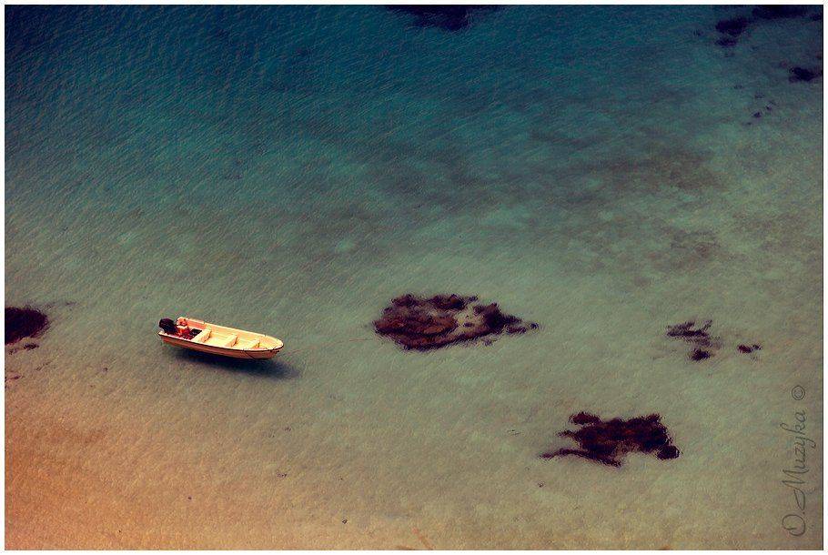 , Оксана Музыка