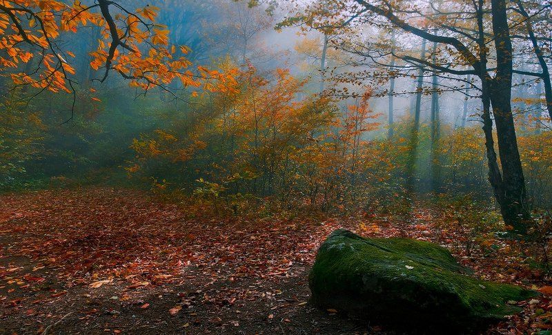 утро, горы, кавказ, туман ОСЕННИМ УТРОМ фото превью