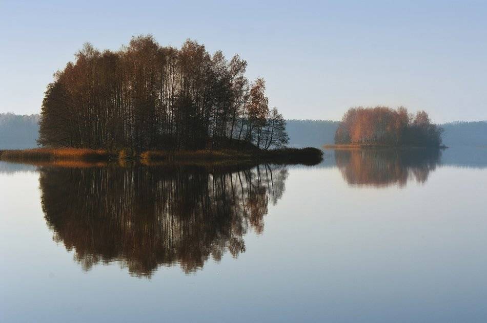 , Rimantas Bikulcius