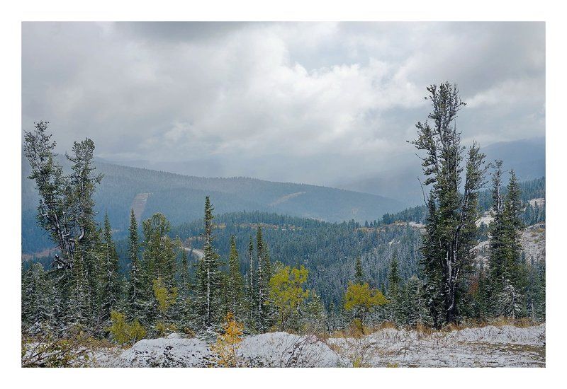 Один из ненастных дней сентября. фото превью