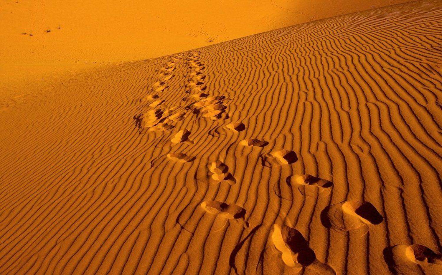 вьетнам, Александр Нагибин