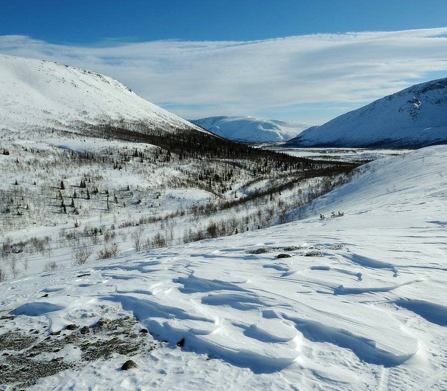 , Сергей Седов