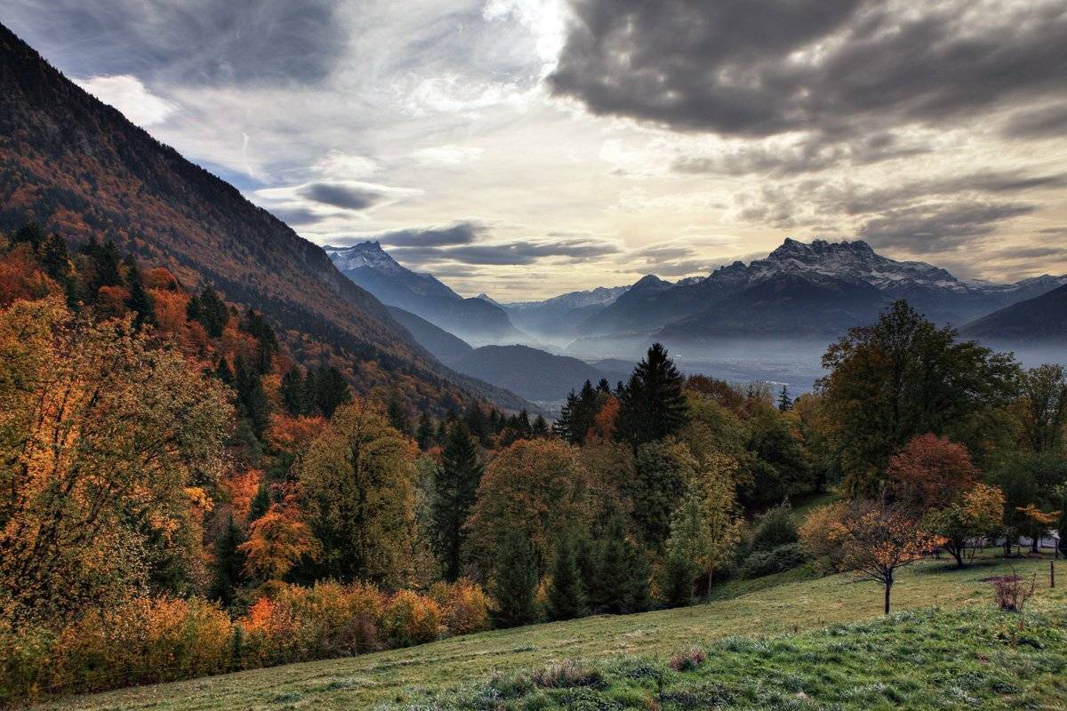 swiss, Матвеев Николай