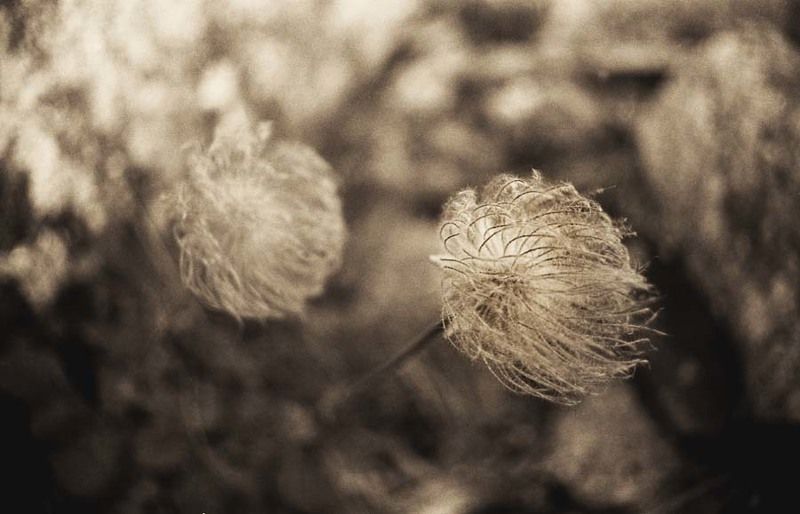 Offtakted фото превью