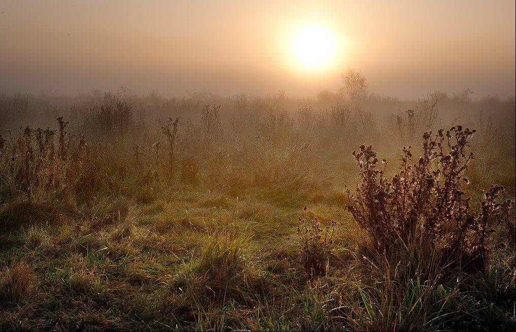 , Валерий Смирнов