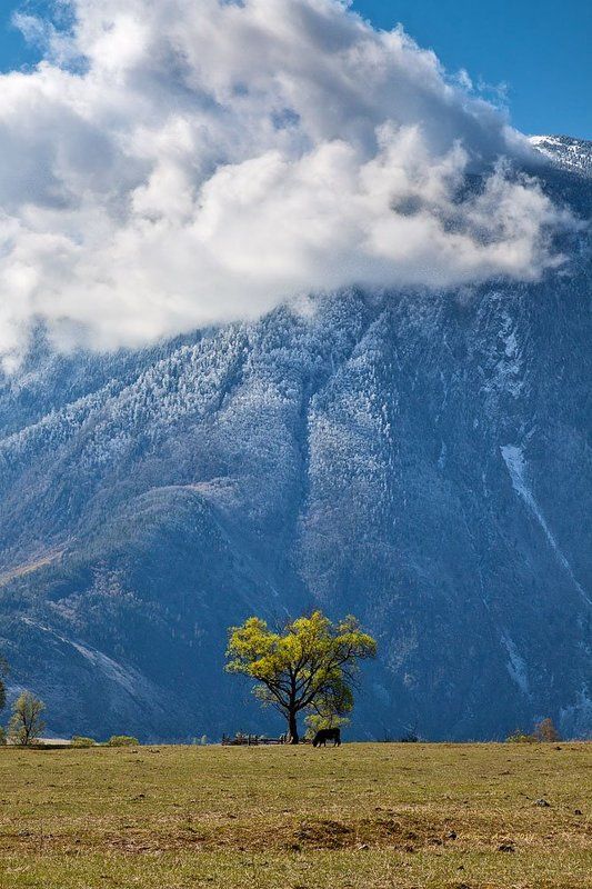 По одной... фото превью