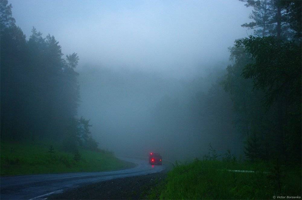 дорога, лес, туман, Виктор Борзенко