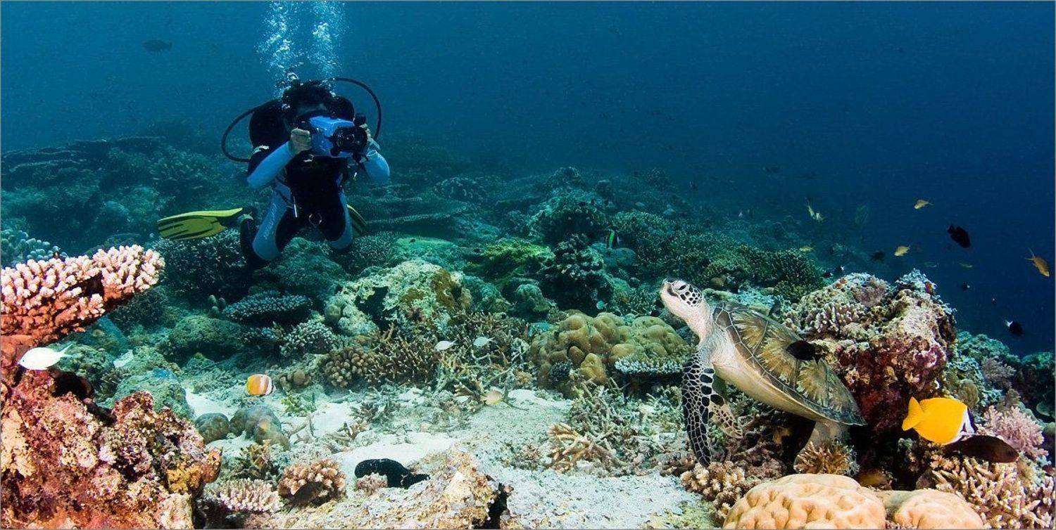 кыно, Нетушки