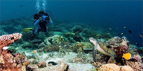 Немая сцена